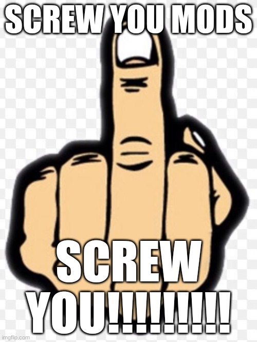 middle finger | SCREW YOU MODS; SCREW YOU!!!!!!!!! | image tagged in middle finger | made w/ Imgflip meme maker