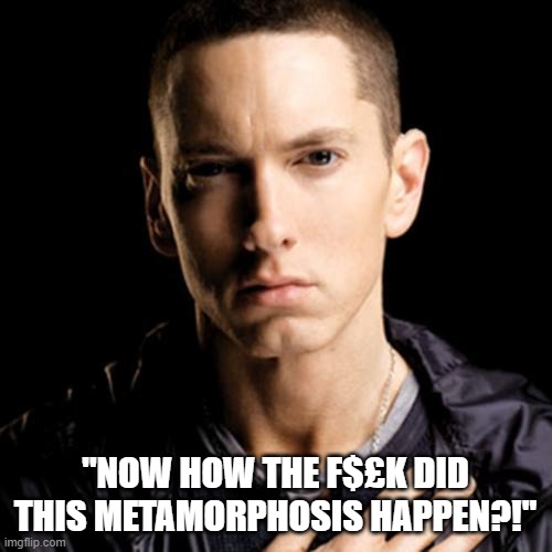 Eminem | "NOW HOW THE F$£K DID THIS METAMORPHOSIS HAPPEN?!" | image tagged in memes,eminem,sing for the moment,hip hop,music | made w/ Imgflip meme maker