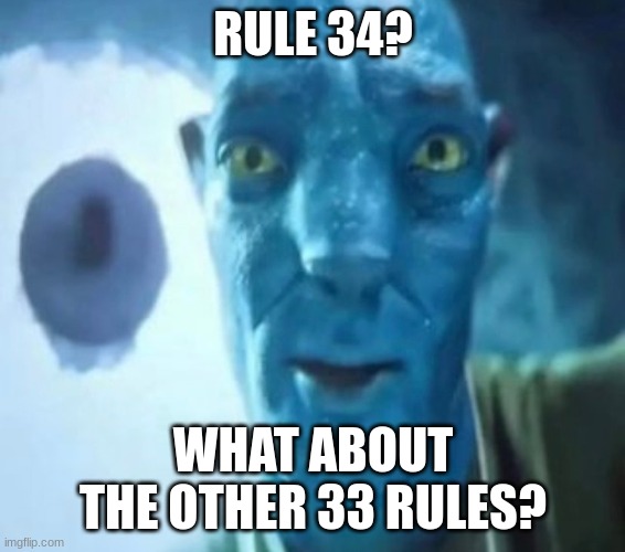 the other 33? | RULE 34? WHAT ABOUT THE OTHER 33 RULES? | image tagged in avatar guy,memes,shitpost,msmg,oh wow are you actually reading these tags | made w/ Imgflip meme maker