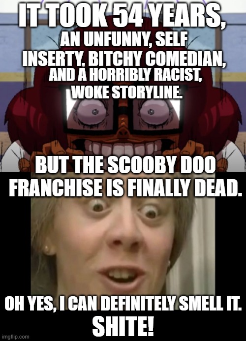 Velma is finally stupid...Not a good thing. | IT TOOK 54 YEARS, AN UNFUNNY, SELF INSERTY, BITCHY COMEDIAN, AND A HORRIBLY RACIST,
 WOKE STORYLINE. BUT THE SCOOBY DOO FRANCHISE IS FINALLY DEAD. OH YES, I CAN DEFINITELY SMELL IT. SHITE! | image tagged in cursed velma,i smell shite,scooby doo,velma,streaming,show | made w/ Imgflip meme maker