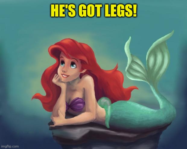 Ariel Dream | HE'S GOT LEGS! | image tagged in ariel dream | made w/ Imgflip meme maker