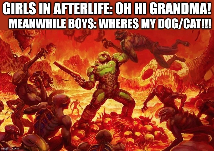 Doomslayer | MEANWHILE BOYS: WHERES MY DOG/CAT!!! GIRLS IN AFTERLIFE: OH HI GRANDMA! | image tagged in doomslayer | made w/ Imgflip meme maker