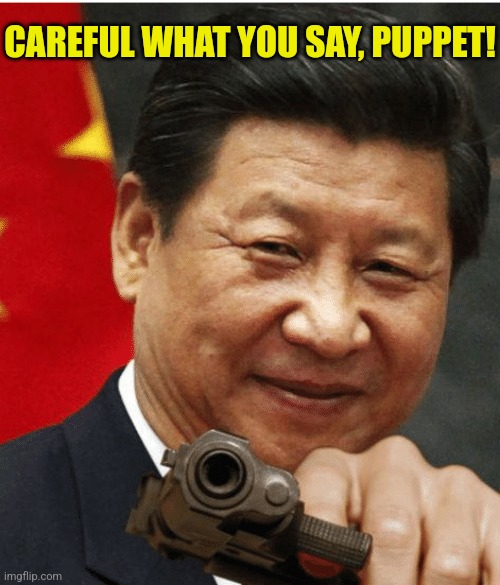 Xi Jinping | CAREFUL WHAT YOU SAY, PUPPET! | image tagged in xi jinping | made w/ Imgflip meme maker