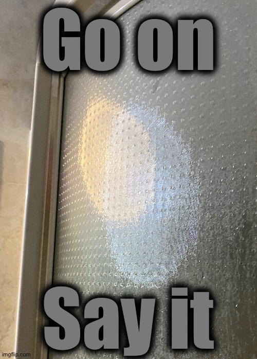 Bebi amongolussus | Go on; Say it | made w/ Imgflip meme maker