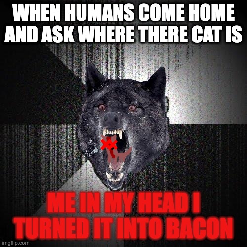 Insanity Wolf Meme | WHEN HUMANS COME HOME AND ASK WHERE THERE CAT IS; ME IN MY HEAD I TURNED IT INTO BACON | image tagged in memes,insanity wolf | made w/ Imgflip meme maker