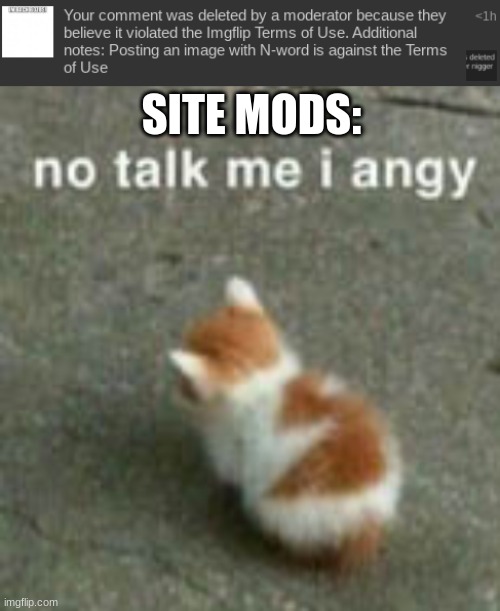 SITE MODS: | image tagged in no talk me i angy wait no come back | made w/ Imgflip meme maker