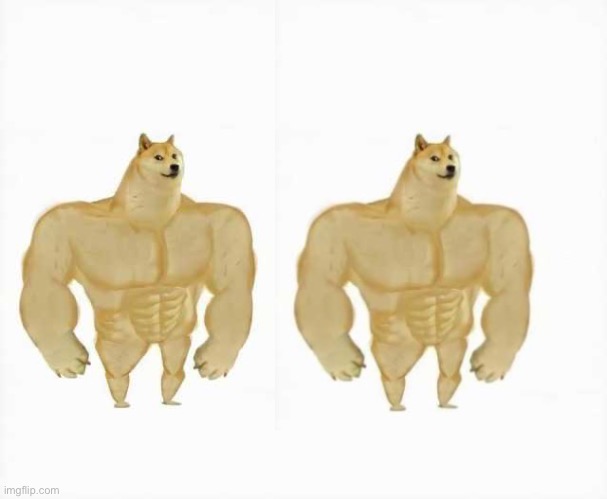 High Quality Buff Doge vs Buff Doge Blank Meme Template