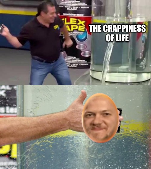 Flex Tape | THE CRAPPINESS OF LIFE | image tagged in flex tape | made w/ Imgflip meme maker