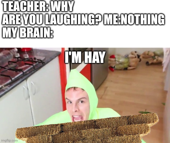 IM GAY | TEACHER: WHY ARE YOU LAUGHING? ME:NOTHING 
MY BRAIN:; I'M HAY | image tagged in im gay | made w/ Imgflip meme maker