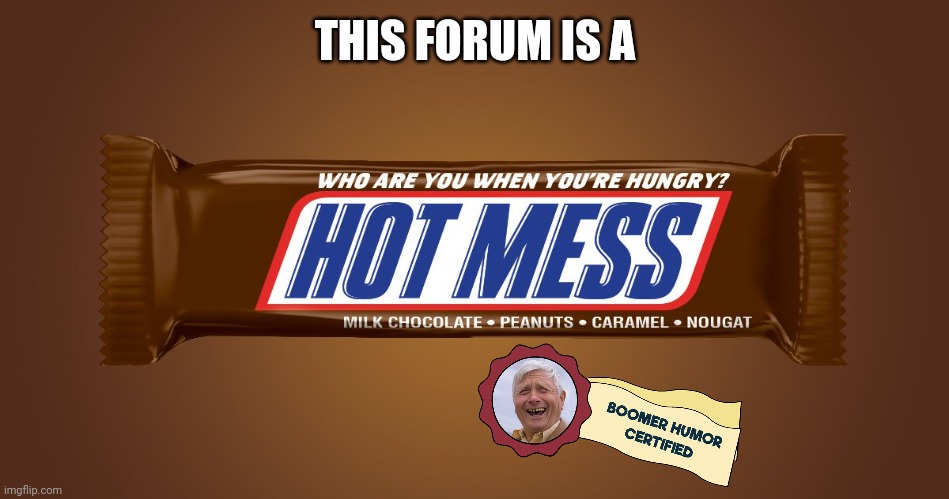 hot mess | THIS FORUM IS A | image tagged in hot mess | made w/ Imgflip meme maker