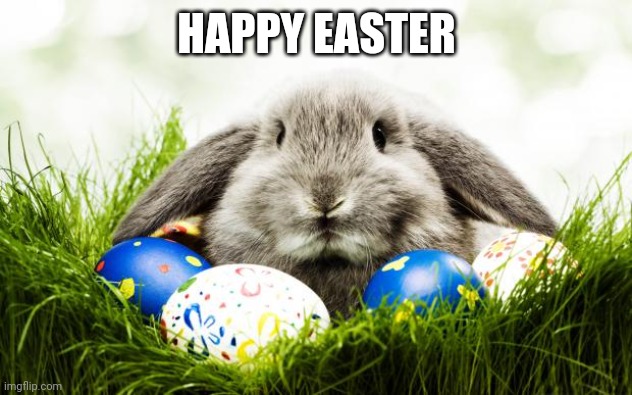 Easter bunny | HAPPY EASTER | image tagged in easter bunny | made w/ Imgflip meme maker
