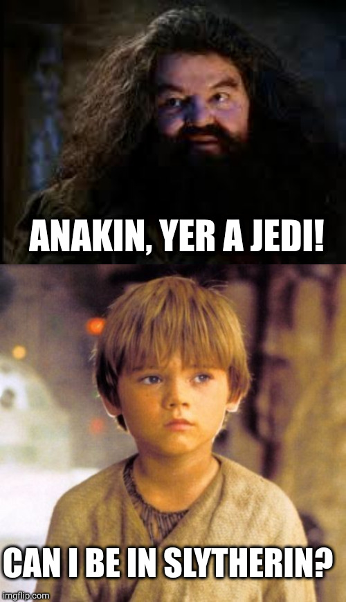 Child Anakin | ANAKIN, YER A JEDI! CAN I BE IN SLYTHERIN? | image tagged in child anakin | made w/ Imgflip meme maker