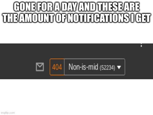 GONE FOR A DAY AND THESE ARE THE AMOUNT OF NOTIFICATIONS I GET | image tagged in notifications | made w/ Imgflip meme maker
