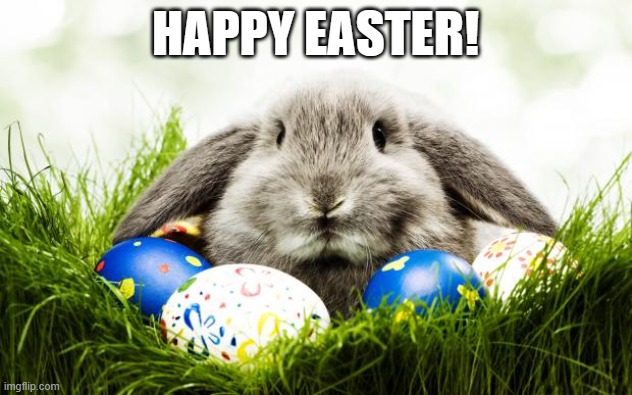 Easter bunny | HAPPY EASTER! | image tagged in easter bunny | made w/ Imgflip meme maker