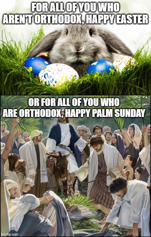 FOR ALL OF YOU WHO AREN'T ORTHODOX, HAPPY EASTER; OR FOR ALL OF YOU WHO ARE ORTHODOX, HAPPY PALM SUNDAY | image tagged in easter bunny,palm sunday,easter,holidays | made w/ Imgflip meme maker