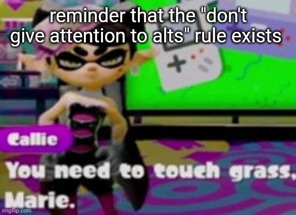 touch grass | reminder that the "don't give attention to alts" rule exists | image tagged in touch grass | made w/ Imgflip meme maker