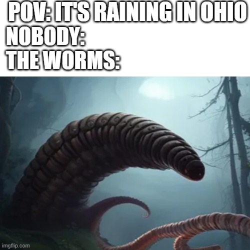 The Ohio Worms | POV: IT'S RAINING IN OHIO; NOBODY:
THE WORMS: | image tagged in only in ohio,ohio,worms | made w/ Imgflip meme maker