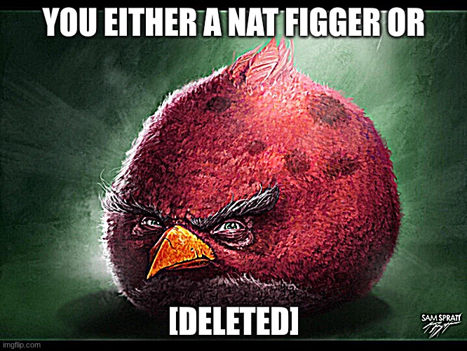 Realistic Angry Bird (big red) | YOU EITHER A NAT FIGGER OR; [DELETED] | image tagged in realistic angry bird big red | made w/ Imgflip meme maker