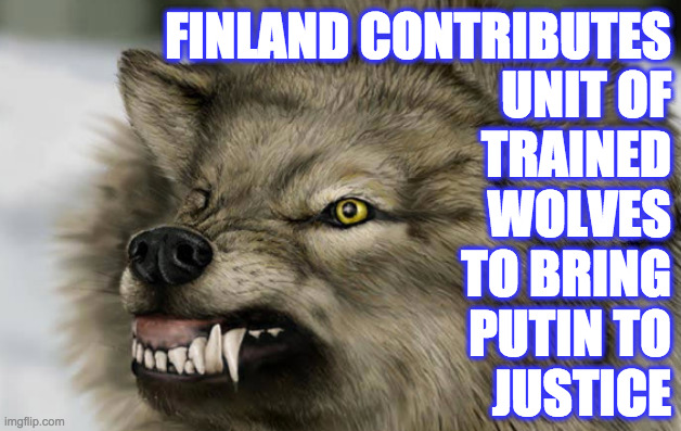 FINLAND CONTRIBUTES
UNIT OF
TRAINED
WOLVES
TO BRING
PUTIN TO
JUSTICE | made w/ Imgflip meme maker
