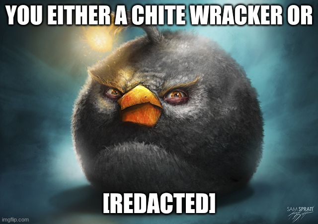 angry birds bomb | YOU EITHER A CHITE WRACKER OR; [REDACTED] | image tagged in angry birds bomb | made w/ Imgflip meme maker