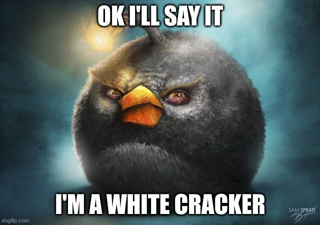 angry birds bomb | OK I'LL SAY IT; I'M A WHITE CRACKER | image tagged in angry birds bomb | made w/ Imgflip meme maker