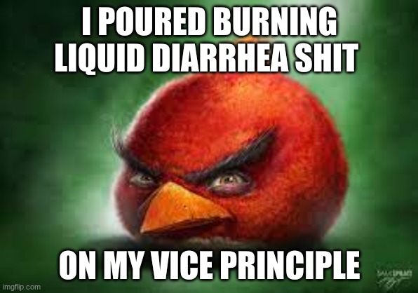 Realistic Red Angry Birds | I POURED BURNING LIQUID DIARRHEA SHIT; ON MY VICE PRINCIPLE | image tagged in realistic red angry birds | made w/ Imgflip meme maker