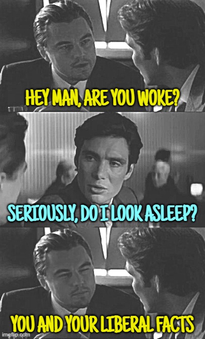 HEY MAN, ARE YOU WOKE? SERIOUSLY, DO I LOOK ASLEEP? YOU AND YOUR LIBERAL FACTS | image tagged in woke,asleep,rightoids | made w/ Imgflip meme maker