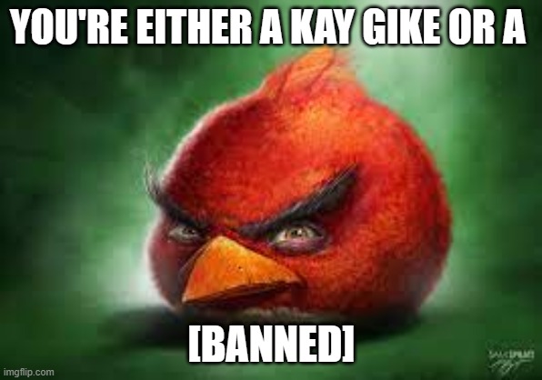 Realistic Red Angry Birds | YOU'RE EITHER A KAY GIKE OR A; [BANNED] | image tagged in realistic red angry birds | made w/ Imgflip meme maker