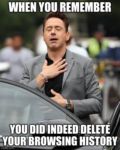 That moment when  | WHEN YOU REMEMBER; YOU DID INDEED DELETE YOUR BROWSING HISTORY | image tagged in that moment when | made w/ Imgflip meme maker