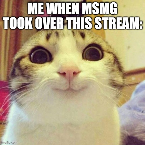 Also can I have mod or owner | ME WHEN MSMG TOOK OVER THIS STREAM: | image tagged in memes,smiling cat | made w/ Imgflip meme maker