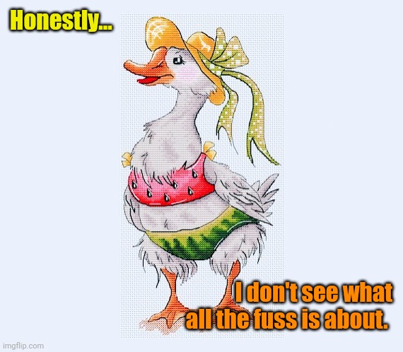 Gary the Goose says: | Honestly... I don't see what all the fuss is about. | made w/ Imgflip meme maker