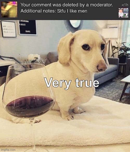 So the truth finally comes out… | Very true | image tagged in homophobic dog,balls | made w/ Imgflip meme maker