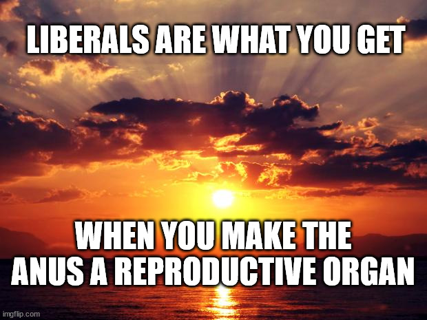 Sunset | LIBERALS ARE WHAT YOU GET; WHEN YOU MAKE THE ANUS A REPRODUCTIVE ORGAN | image tagged in sunset | made w/ Imgflip meme maker