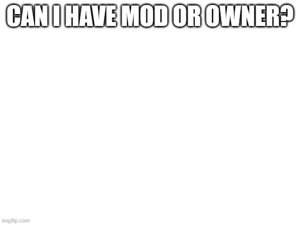 CAN I HAVE MOD OR OWNER? | made w/ Imgflip meme maker