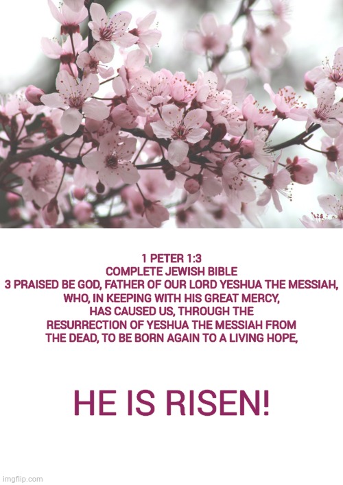 He Is Risen! | 1 PETER 1:3
COMPLETE JEWISH BIBLE
3 PRAISED BE GOD, FATHER OF OUR LORD YESHUA THE MESSIAH, WHO, IN KEEPING WITH HIS GREAT MERCY, HAS CAUSED US, THROUGH THE RESURRECTION OF YESHUA THE MESSIAH FROM THE DEAD, TO BE BORN AGAIN TO A LIVING HOPE, HE IS RISEN! | made w/ Imgflip meme maker