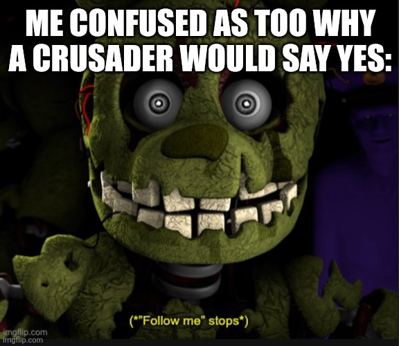 (*”Follow me” stops*) | ME CONFUSED AS TOO WHY A CRUSADER WOULD SAY YES: | image tagged in follow me stops | made w/ Imgflip meme maker
