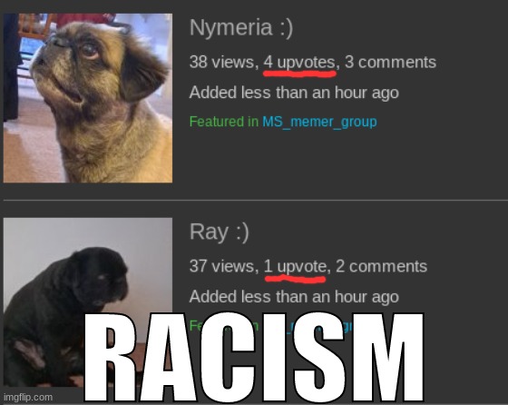 ray-cism | RACISM | made w/ Imgflip meme maker