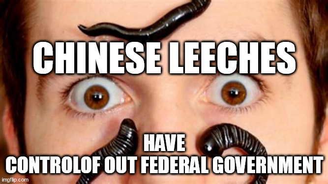 We pay big money Joe. | CHINESE LEECHES; HAVE
CONTROLOF OUT FEDERAL GOVERNMENT | image tagged in china,communism,biden,corruption | made w/ Imgflip meme maker