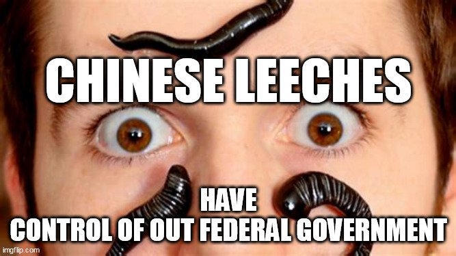 We pay big money Joe | CHINESE LEECHES; HAVE
CONTROL OF OUT FEDERAL GOVERNMENT | image tagged in china,communism,corruption,biden | made w/ Imgflip meme maker