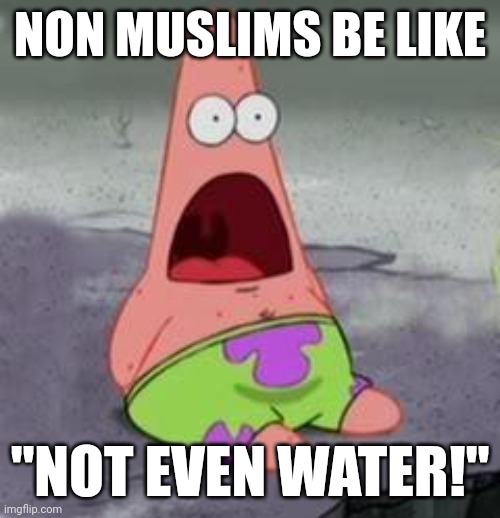 Ramadan | NON MUSLIMS BE LIKE; "NOT EVEN WATER!" | image tagged in suprised patrick | made w/ Imgflip meme maker