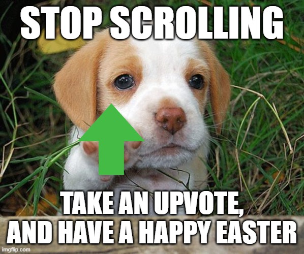 Free upvote to cure depression | STOP SCROLLING; TAKE AN UPVOTE, AND HAVE A HAPPY EASTER | image tagged in dog puppy bye,upvote,memes,funny | made w/ Imgflip meme maker