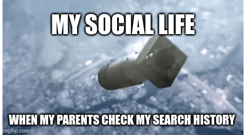 search History | MY SOCIAL LIFE; WHEN MY PARENTS CHECK MY SEARCH HISTORY | image tagged in gifs | made w/ Imgflip images-to-gif maker