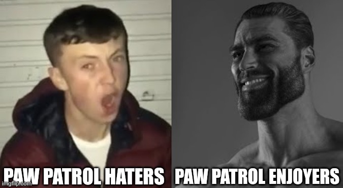 Paw Patrol Haters VS Enjoyers | PAW PATROL HATERS; PAW PATROL ENJOYERS | image tagged in average enjoyer meme | made w/ Imgflip meme maker