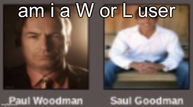 paul vs saul | am i a W or L user | image tagged in paul vs saul | made w/ Imgflip meme maker
