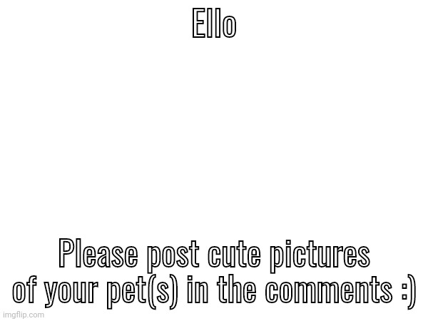 :) | Ello; Please post cute pictures of your pet(s) in the comments :) | image tagged in cute pets | made w/ Imgflip meme maker