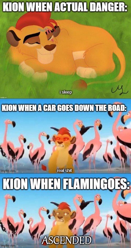 KION WHEN ACTUAL DANGER:; KION WHEN A CAR GOES DOWN THE ROAD:; KION WHEN FLAMINGOES:; ASCENDED | image tagged in sleeping kion,garbage | made w/ Imgflip meme maker