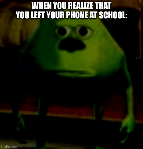 forgot phone | WHEN YOU REALIZE THAT YOU LEFT YOUR PHONE AT SCHOOL: | image tagged in sully wazowski,relatable,memes | made w/ Imgflip meme maker