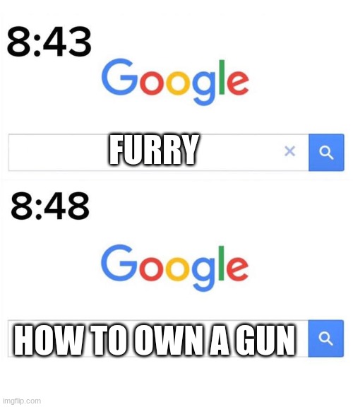 google before after | FURRY; HOW TO OWN A GUN | image tagged in google before after | made w/ Imgflip meme maker