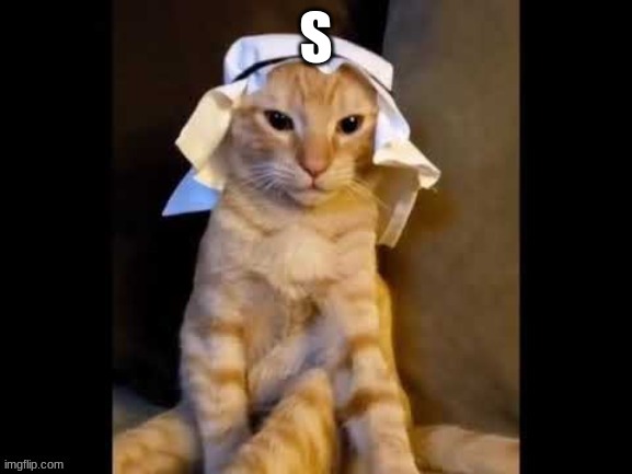 Ryn | S | image tagged in ryn | made w/ Imgflip meme maker