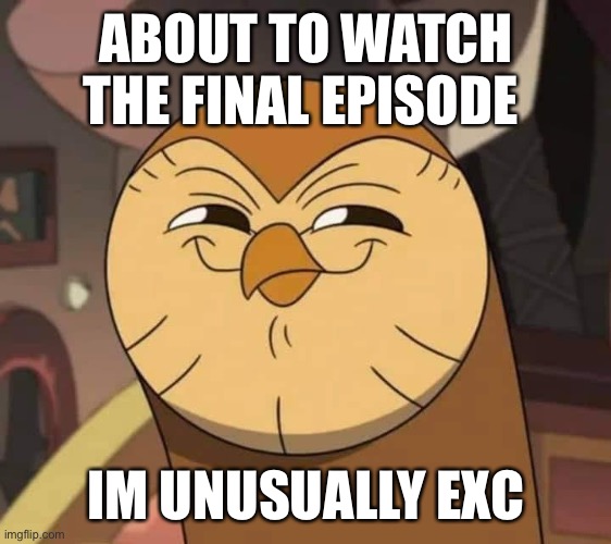 Hooty like | ABOUT TO WATCH THE FINAL EPISODE; IM UNUSUALLY EXCITED | image tagged in hooty like | made w/ Imgflip meme maker